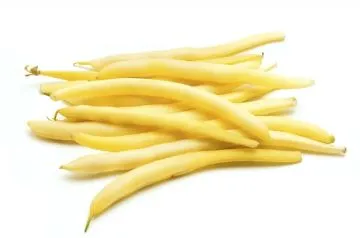 Bean - Top Notch Golden Wax (Bush)