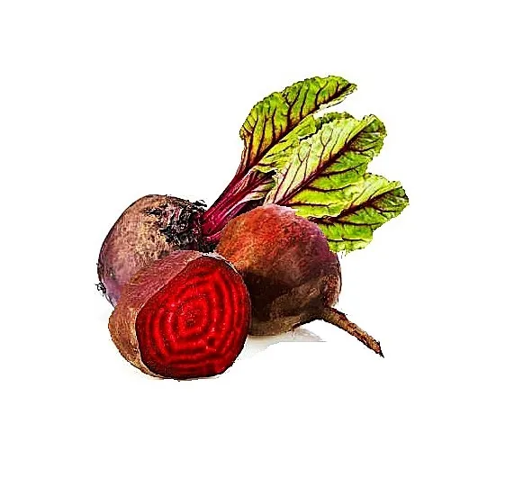 Beet - Chioggia Candy