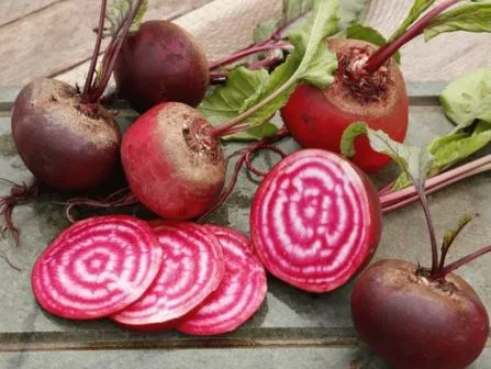 Beet - Chioggia Candy