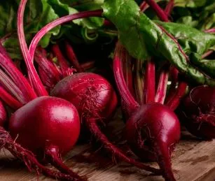 Beet - Detroit Dark Red