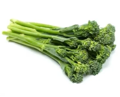 Broccoli Rabe - Early Fall Rapini