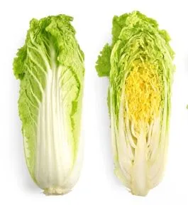 Cabbage - Golden Kogane Chinese Cabbage, also known as Napa
