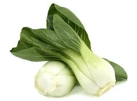Cabbage - Pak Choi, Dwarf White Stem