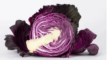 Cabbage - Red Express