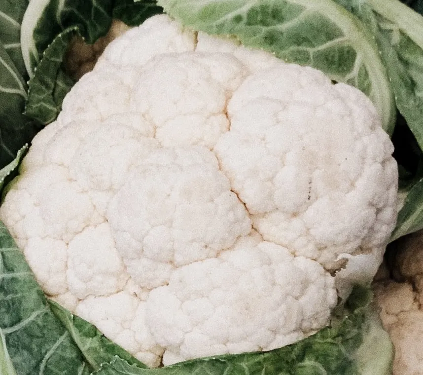 Cauliflower - Snowball Y