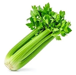 Celery Seeds- Golden Self Blanching