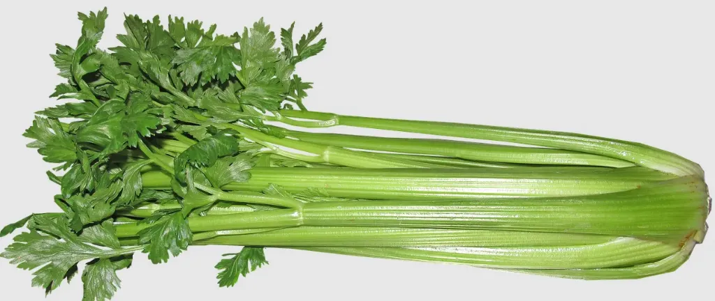 Celery Seeds- Golden Self Blanching