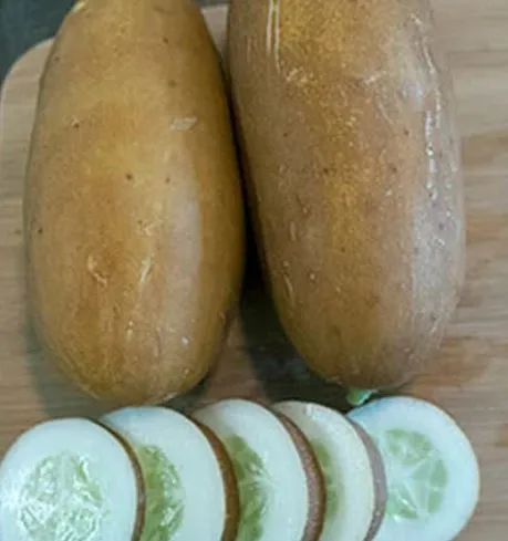 Cucumber - Brown Russian