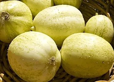 Cucumber - Crystal Apple