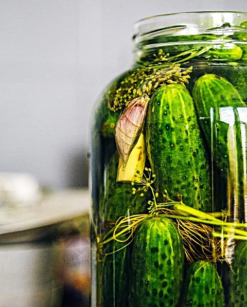 Cucumber - National Pickling