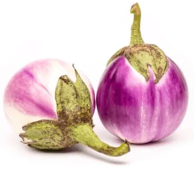 Eggplant - Rosa Bianca