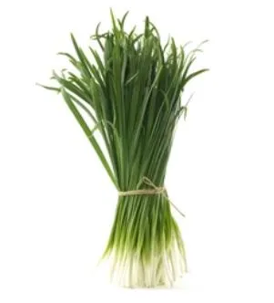 Garlic Chives