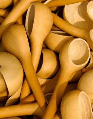 Gourd - Dipper