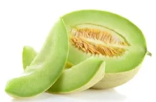 Melon - Green Flesh, Honeydew White Antibes Winter Melon
