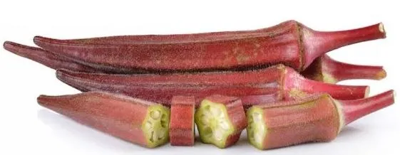 Okra - Red Burgundy, Slight Purple in Color