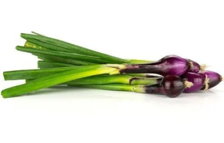 Onion - Crimson Forest Bunch Onion