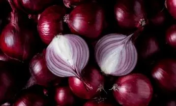 Onion - Red Creole