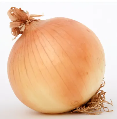 Onion - Texas Super Sweet - short