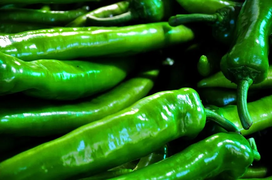 Pepper - Anaheim Hot Chile Pepper, Mild Heat