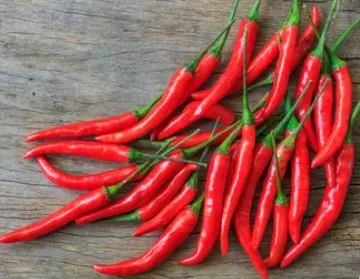 Pepper - Cayenne - Hot Spanish Variety