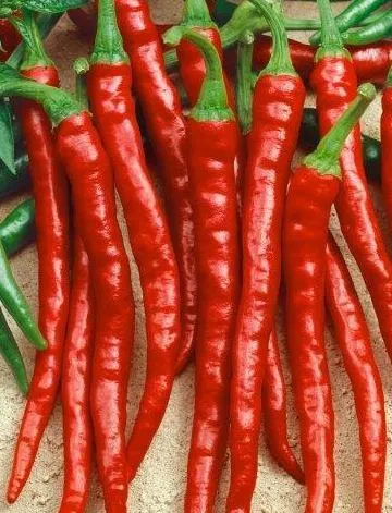 Pepper - Cayenne, Sweet Variety