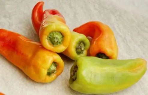 Pepper - Cubanelle Sweet Pepper, Mild and Sweet