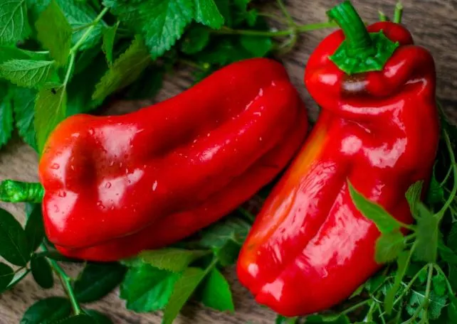 Pepper - Marconi Sweet Red, Giant