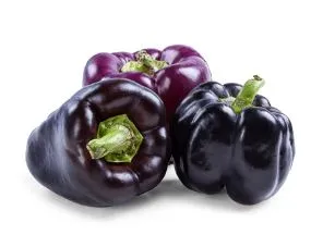 Pepper - Midnight Dreams, Sweet