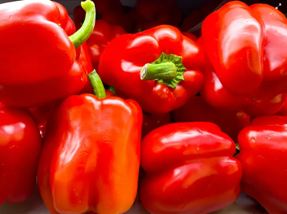 Pepper - Sweet Big Red