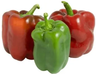 Pepper - Sweet Chinese Giant