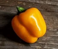 Pepper - Sweet Mini Yellow