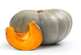 Pumpkin  - Jarrahdale