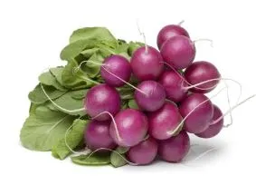 Radish - Purple Plum