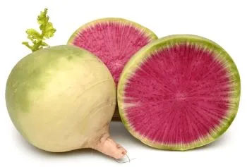 Radish - Watermelon