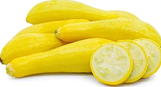 Squash - Summer Early Yellow Straightneck