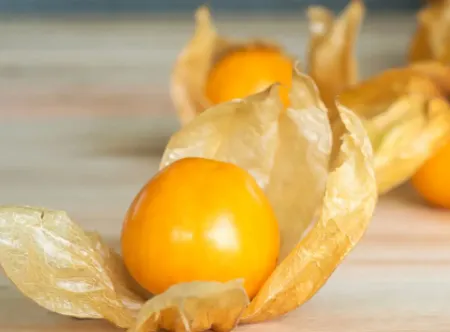 Tomatillo - Aunt Molly's, Ground Cherry