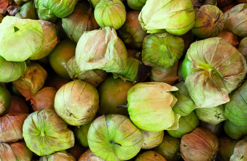 Tomatillo - Grande Rio Verde