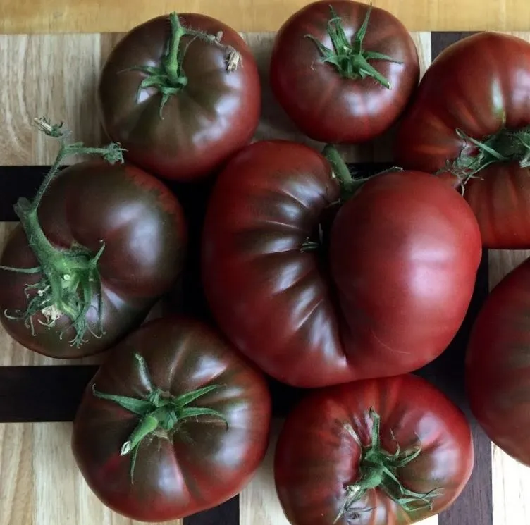 Tomato - Black Krim Slicing, Beefsteak Variety