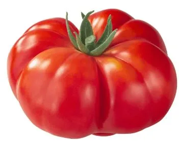 Tomato - Burgundy Traveler