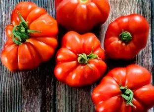 Tomato - Mortgage Lifter, Beefsteak