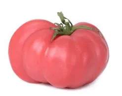 Tomato - Pink Brandywine, Beefsteak