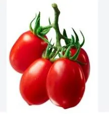 Tomato - Roma VF