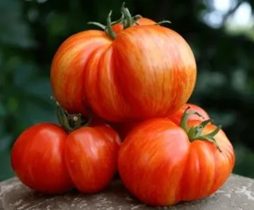 Tomato - German Striped Stuffer Beefsteak Variety