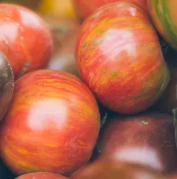Tomato - Tigerella