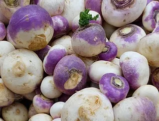 Turnip - Purple Top White Globe