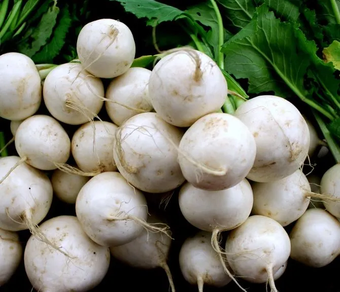 Turnip - White Egg, or Snowball