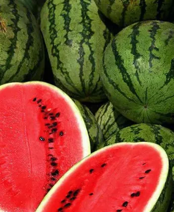 Watermelon - All Sweet