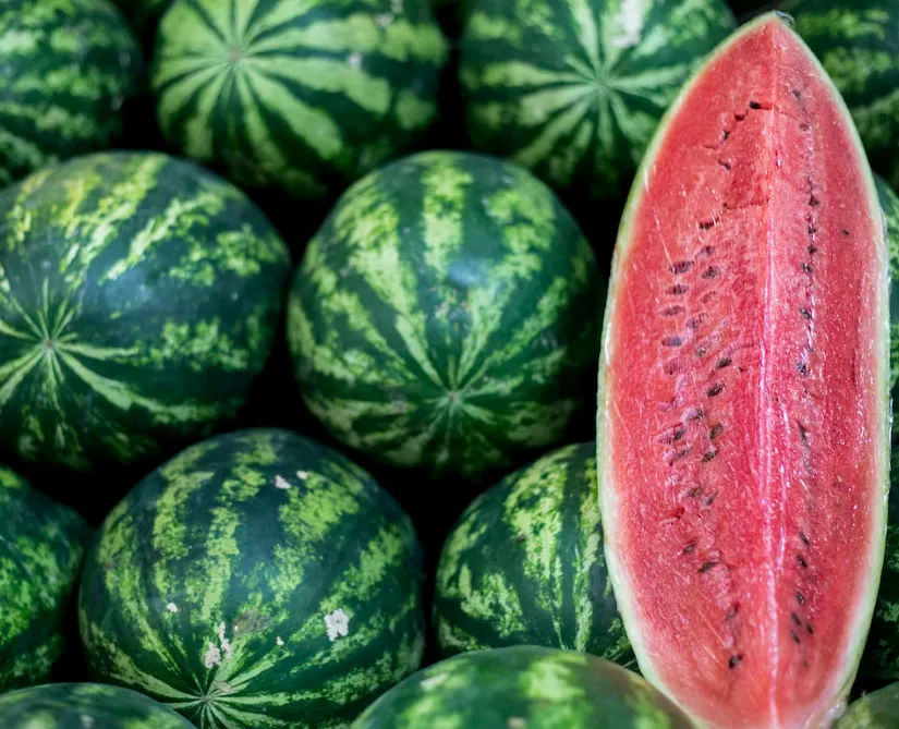 Watermelon - Jubilee - Picnic