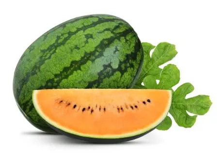 Watermelon - Tendersweet Orange - Picnic