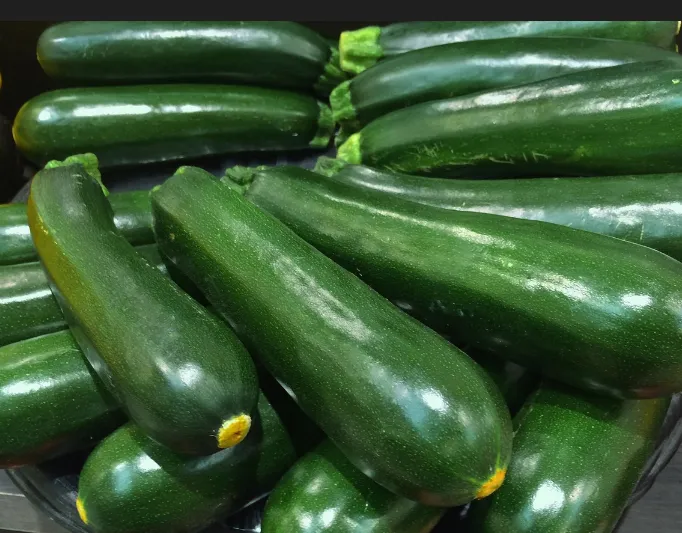 Squash - Black Beauty Dark Green Summer Zucchini